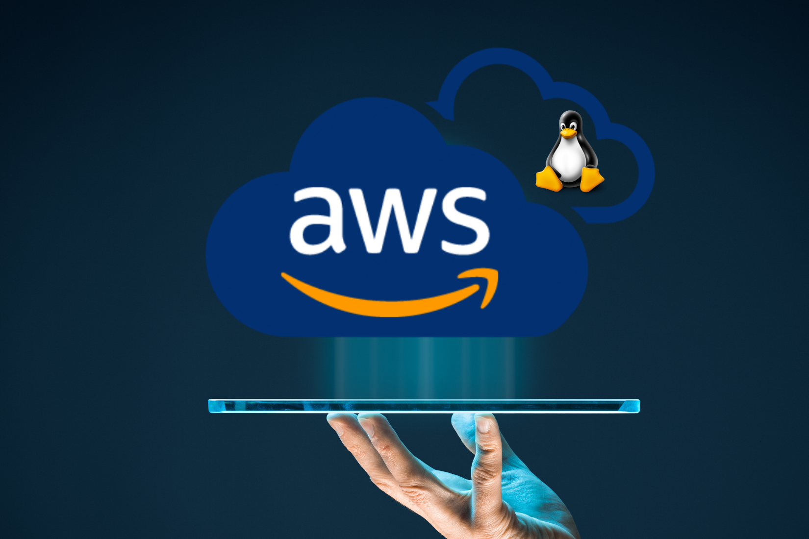 Training on Cloud Computing (AWS and Linux)